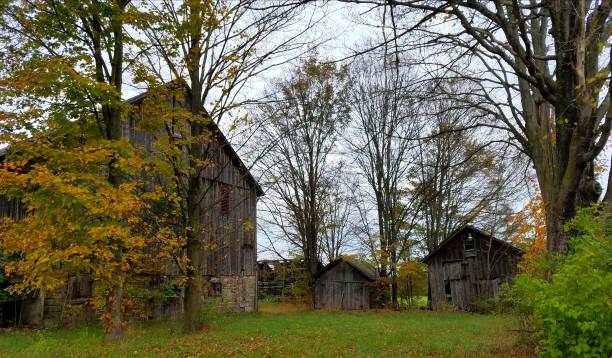 istock 3 Old and Abandoned Barns in a Rural, Autumn Setting 1035265750