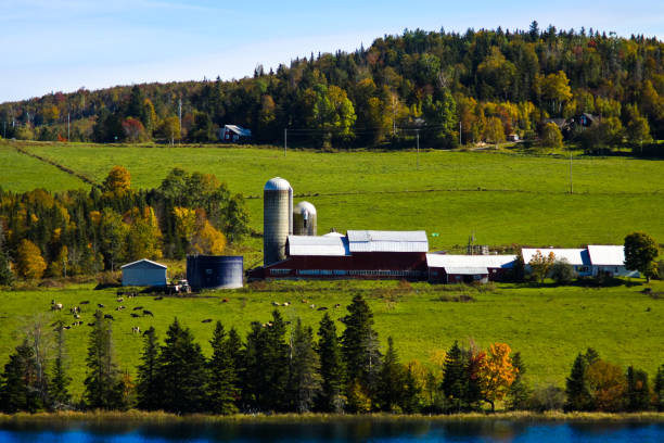 istock Dairy Farm in New Hampshire state 1035266018