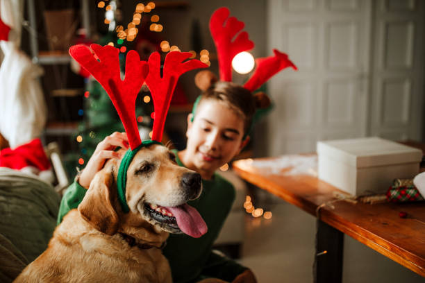 istock Kid waiting for Santa with dog 1035268712