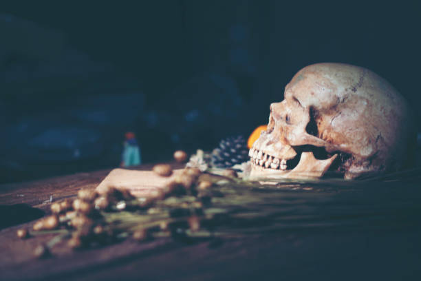 istock Human skull, Halloween concept, vintage filter image 1035273144