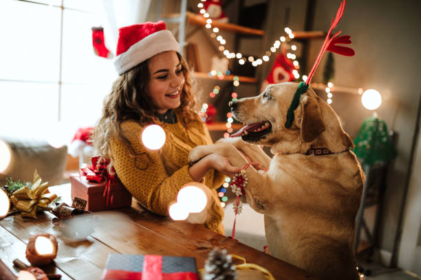 istock Gift for my puppy 1035275514
