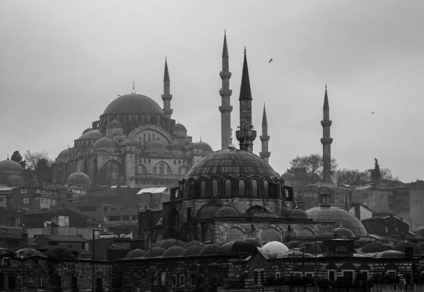 istock Mosques in Istanbul, Turkey 1035278046
