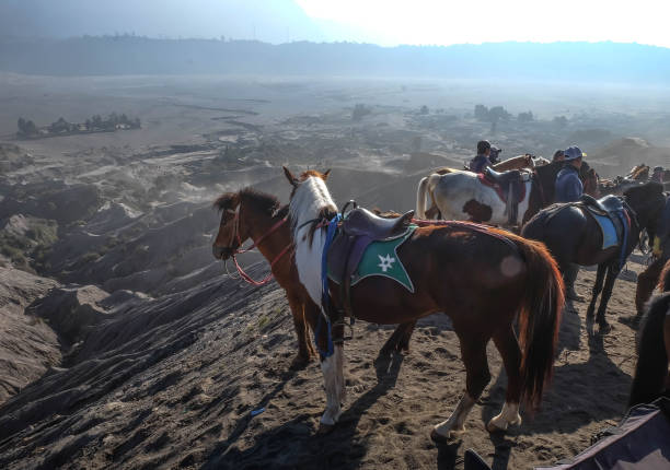 el caballo para el turismo en el cráter de indonesia monte bromo con naturaleza vista desierto. - bromo crater fotografías e imágenes de stock