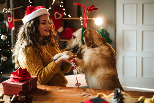 istock Gift for my puppy 1035283542