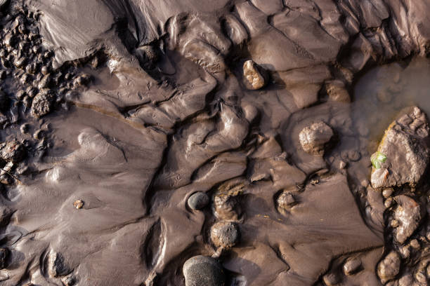 margem do rio glacial com barro molhado preto silte areia - silt sand textured black sand - fotografias e filmes do acervo