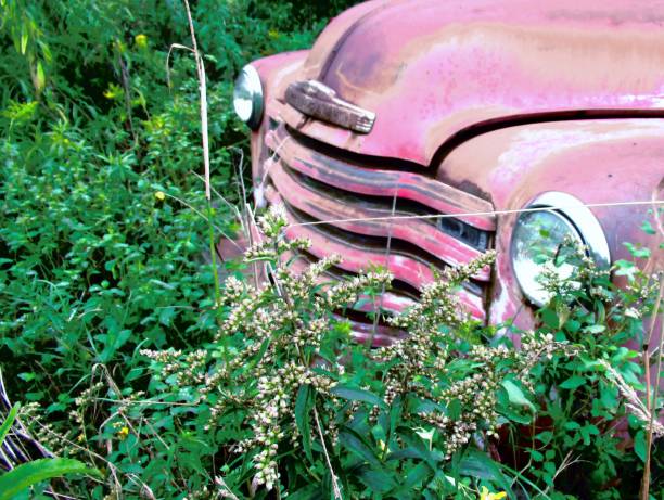 old fire truck out to pasture
