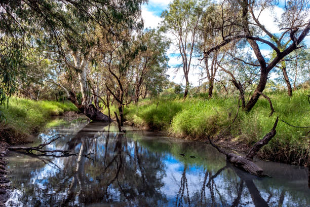 istock Creek through grain farm in Australia. 1035296908