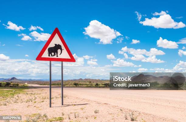 Elefantes Cruzando El Signo De Advertencia De Camino Damaraland Namibia Foto de stock y más banco de imágenes de Aire libre