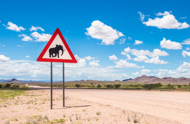 istock Elephants crossing road warning sign, Damaraland, Namibia 1035299616