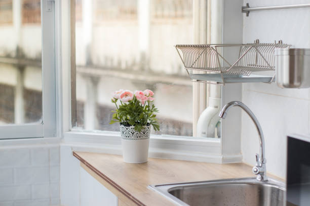 istock flower near windows 1035305386