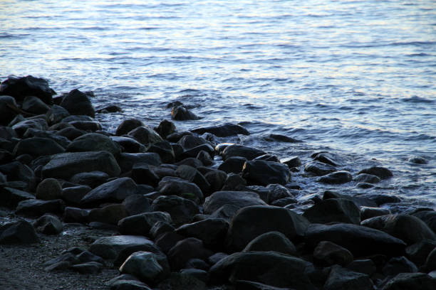 Rocky Shore The rocky shore of Vancouver beach english bay vancouver skyline stock pictures, royalty-free photos & images