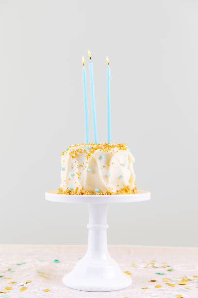 istock Birthday cake with candles. Birthday party celebration concept 1035320198