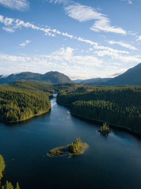 Aerial Canadian Landscape Aerial view of a beautiful Canadian Landscape during a vibrant sunny summer day. Taken in Cedar Lake, Vancouver Island, BC, Canada. vancouver island photos stock pictures, royalty-free photos & images