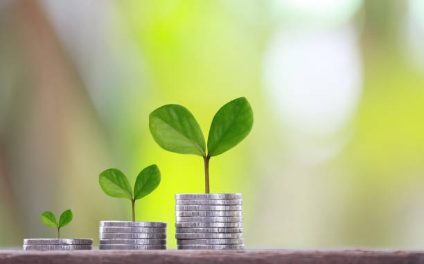 istock Medallion graph shape and green tree top to growth. 1035331218
