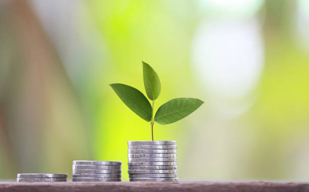 istock Medallion graph shape and green tree top to growth. 1035331222