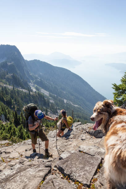istock Hiking in British Columbia, Canada 1035331256