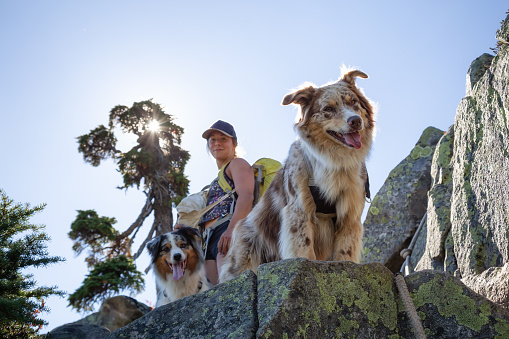 Woman and dogs are hiking during a vibrant summer day. Taken in Howe Sound, near Vancouver, BC, Canada.