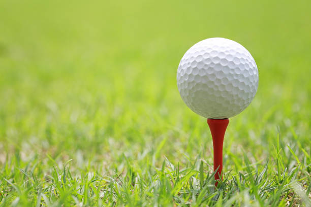 golf ball on wooden golf tee to embroider on the green lawn. - embroider imagens e fotografias de stock