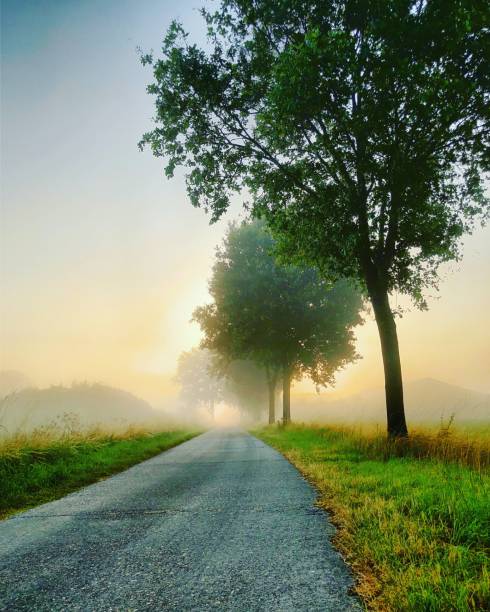 istock Rural misty morning road 1035336618