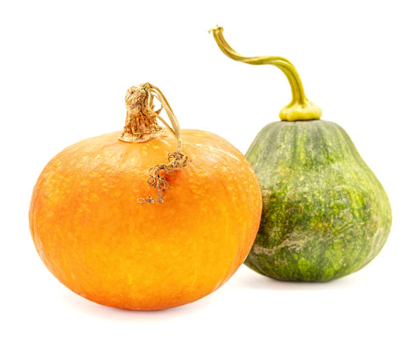 istock two yellow and green pumpkins isolated on white with clipping path 1035339010
