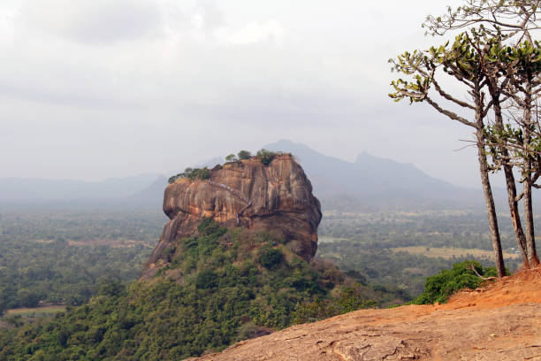 istock The wide view from Pidurangala Rock, not far from Sigiriya. 1035339090