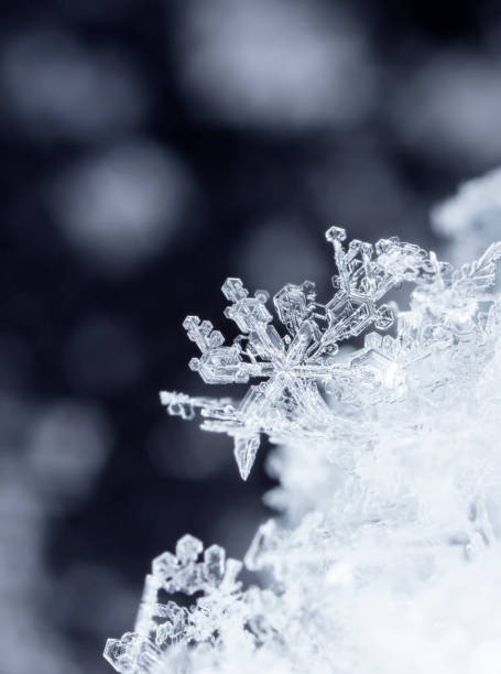 istock snowflake in the snow, winter 1035353656