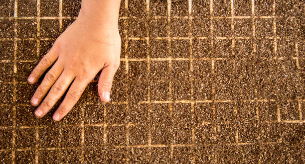 istock lettuce seed cultive hand farm 1035353896