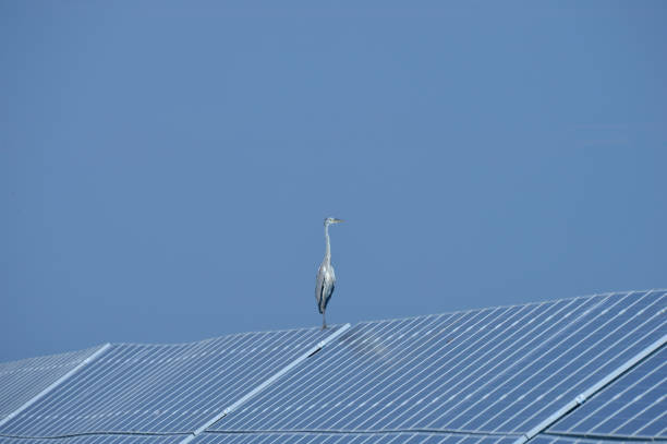 istock Solar panels green energy 1035357130