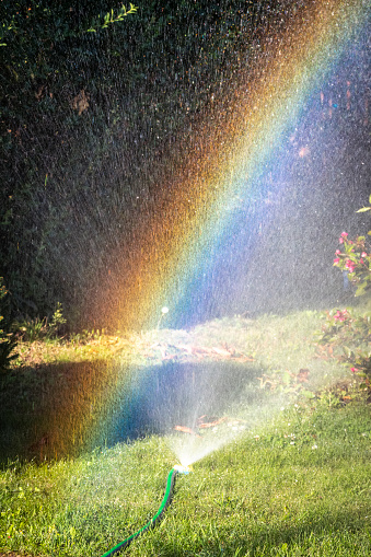 Rainbow in the spray of water when watering the garden area.