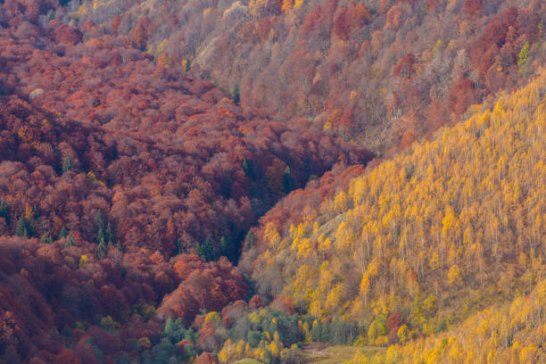 istock Mountain scenery in the Transylvanian Alps in autumn, with mist clouds 1035365526