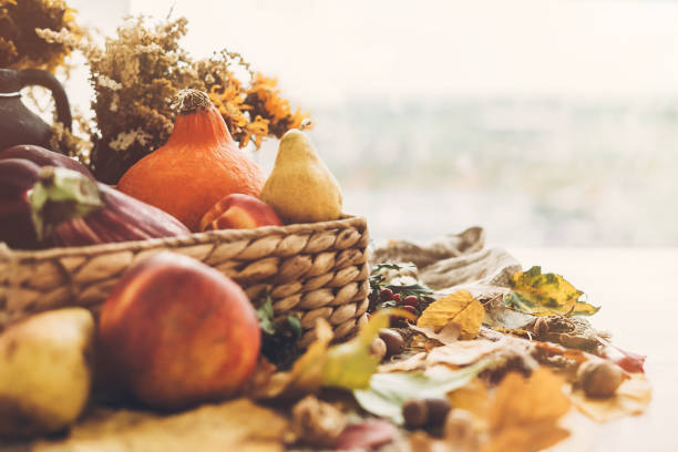Hello Autumn. Pumpkin and vegetables in basket and colorful leaves with acorns and nuts on wooden table in sunny light. Bright Fall image. Harvest time. Happy Thanksgiving stock photo
