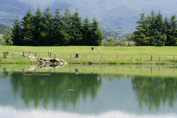 istock lake in the countryside with liquid discharge 1035383998