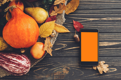 Phone with empty screen and beautiful Pumpkin with bright autumn leaves, acorns, nuts, berries on wooden rustic table, flat lay. Space for text. Greeting card mock-up. Happy Thanksgiving