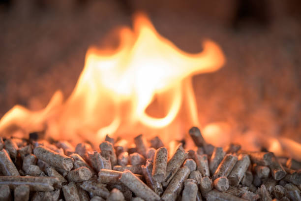 istock Wooden pellets in fire 1035384504