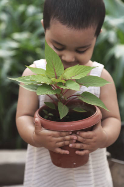 20+ Litle India Stock Photos, Pictures & Royalty-Free Images - iStock