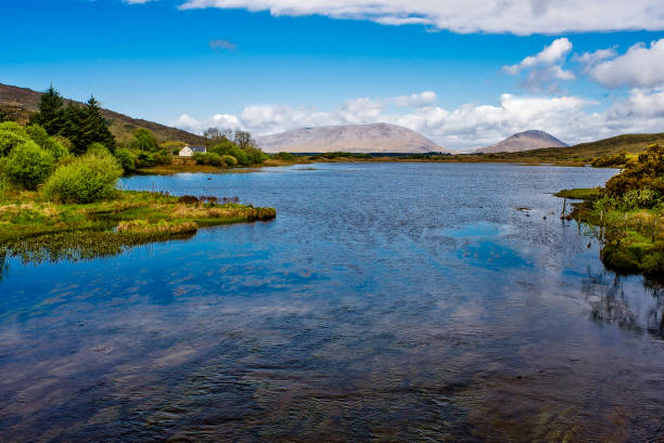 Connemara in ireland. Connemarra in Ireland. connemara national park stock pictures, royalty-free photos & images