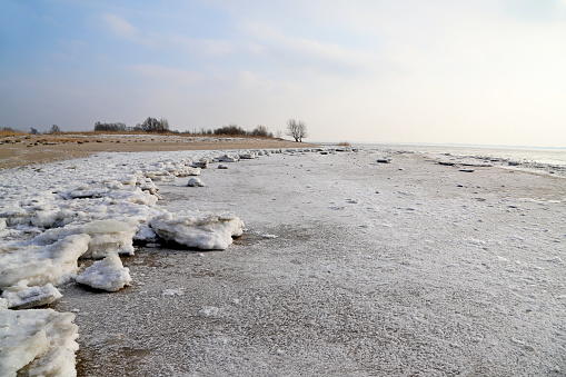 drift ice on the beach of river elbe