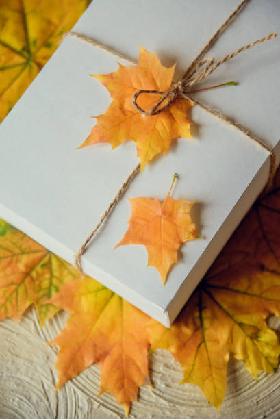 istock Gift box decorated with maple leaves and tied with a rope . 1035397324