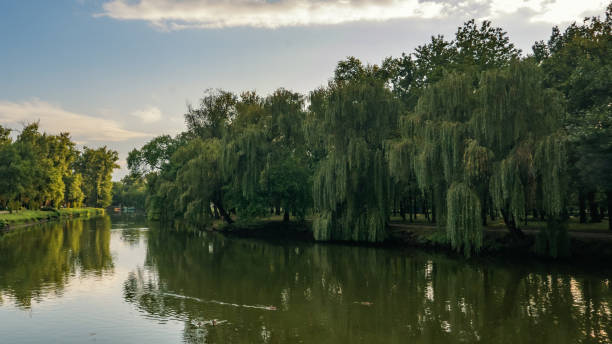 istock autumn in the park 1035397344