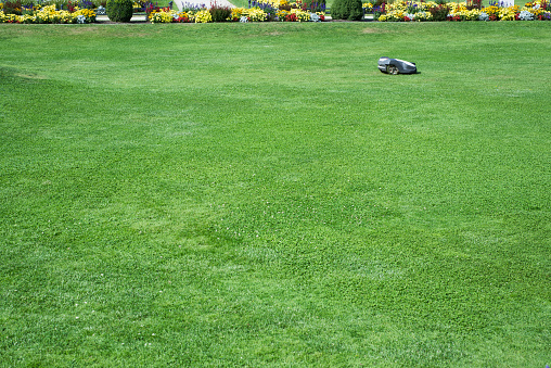 Automatic robot lawn mower doing all work for you.