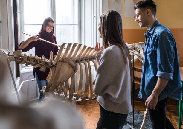 istock Happy high school students learning about animal skeleton in the classroom. 1035403536