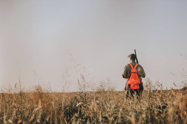 istock Hunter with hunting dog during a hunt 1035407336