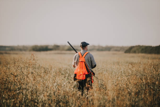 istock Hunter with hunting dog during a hunt 1035407632