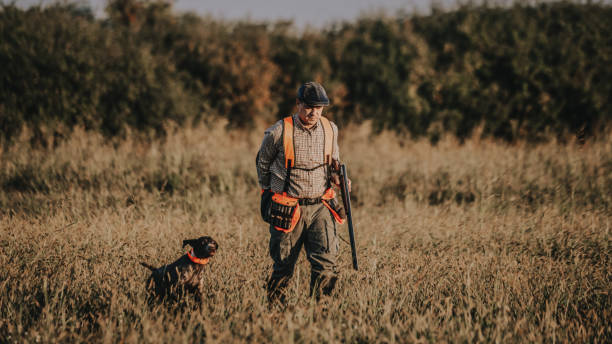 hunter with hunting dog during a hunt - bird hunter imagens e fotografias de stock