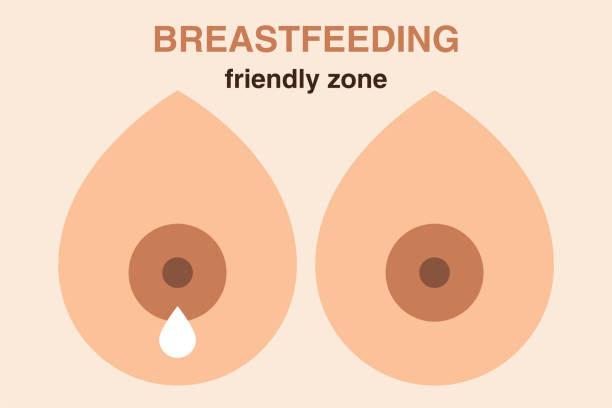 ilustrações de stock, clip art, desenhos animados e ícones de breastfeeding banner in flat style - mamilo