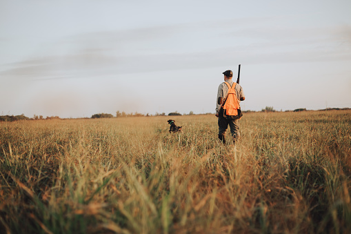 Hunter with hunting dog during a hunt
