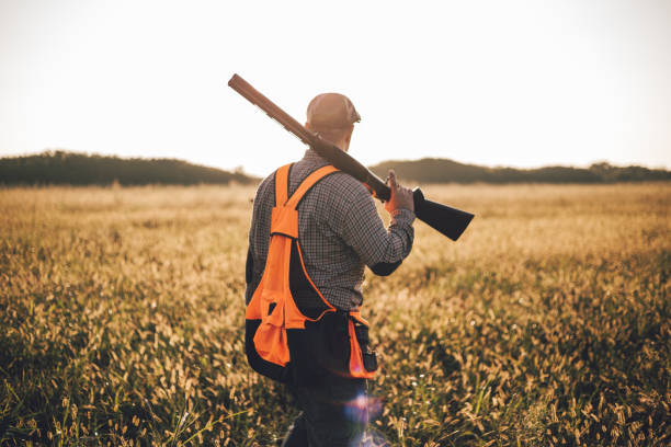 istock Hunter during a hunt holding shotgun 1035410796