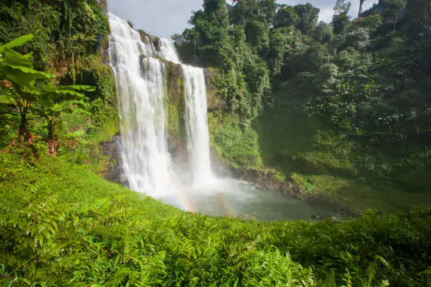 Photo of Great waterfall scenery with a rainbow. Tad Yuang, dramatic waterfall drops 40 metres over a cliff and tropical forest. Bolaven Plateau, Paksong, Laos. Rainy season.