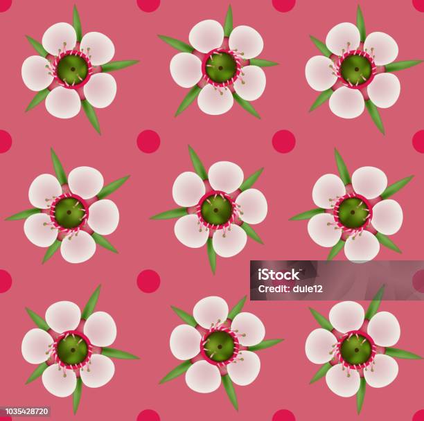 Pink Manuka Flower Blossom Floral Decorative Seamless Pattern Stock  Illustration - Download Image Now - iStock