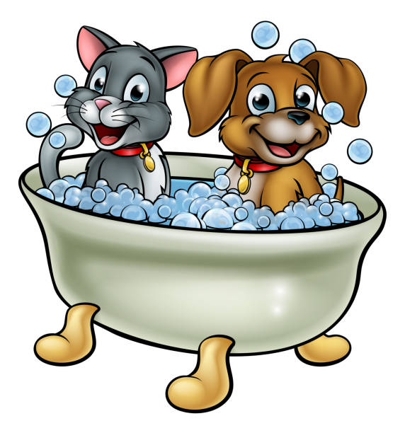 ilustrações de stock, clip art, desenhos animados e ícones de cartoon cat and dog in bath - dog bathtub washing puppy